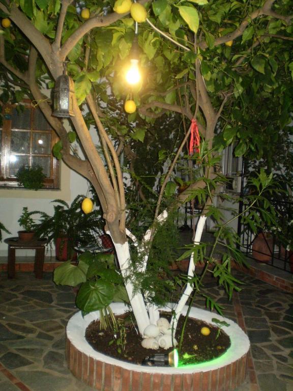 Studios Nopi-Zoi Skiathos Exterior foto