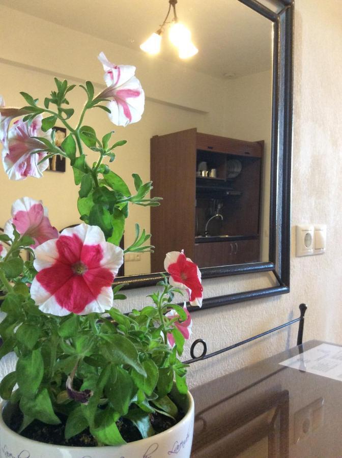 Studios Nopi-Zoi Skiathos Exterior foto